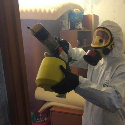 Уничтожение клопов в квартире. Боровское шоссе
